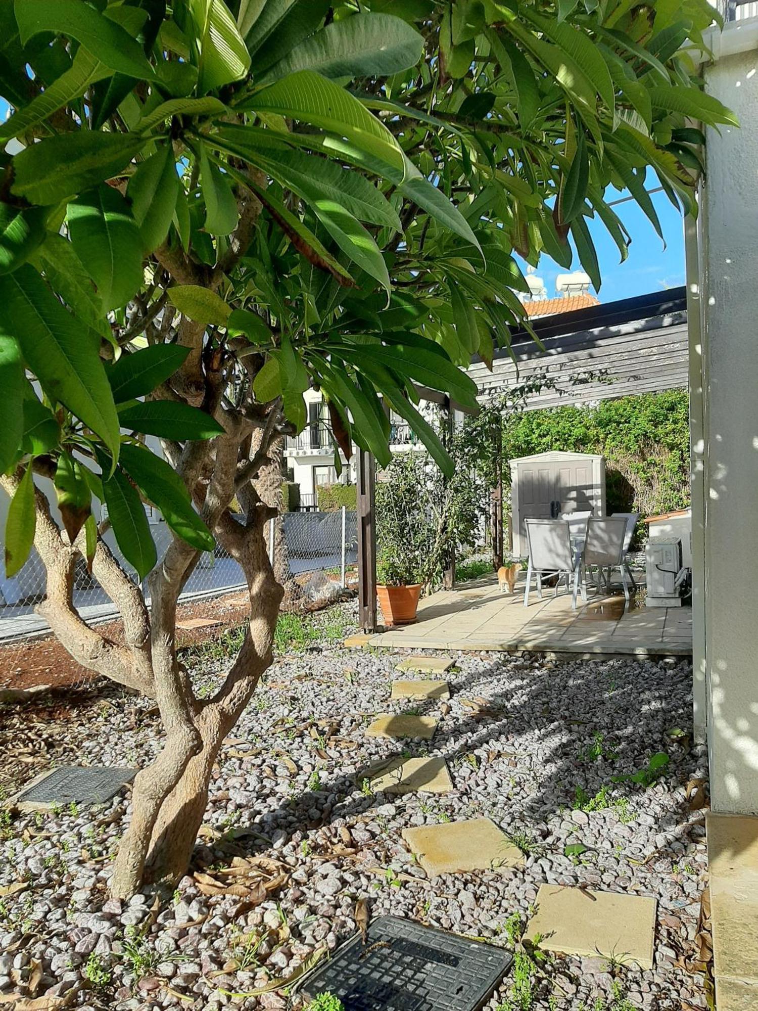 Apartament H&O Royal Townhouse In Center Pafos Zewnętrze zdjęcie